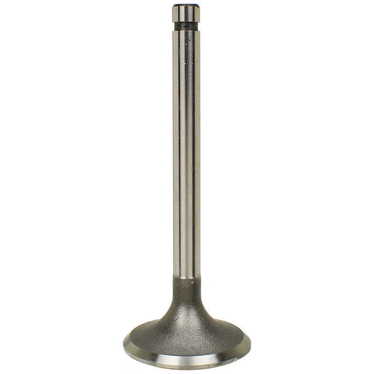 13201-F1800 Intake Valve For Nissan Forklifts